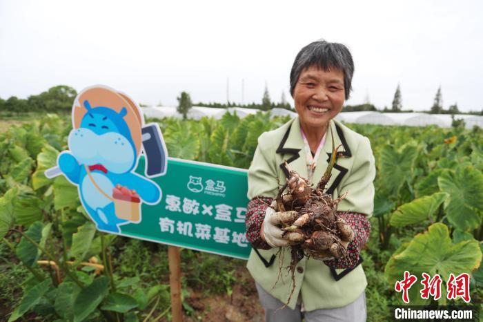 订单农业解决传统痛点 为上海有机农场带来