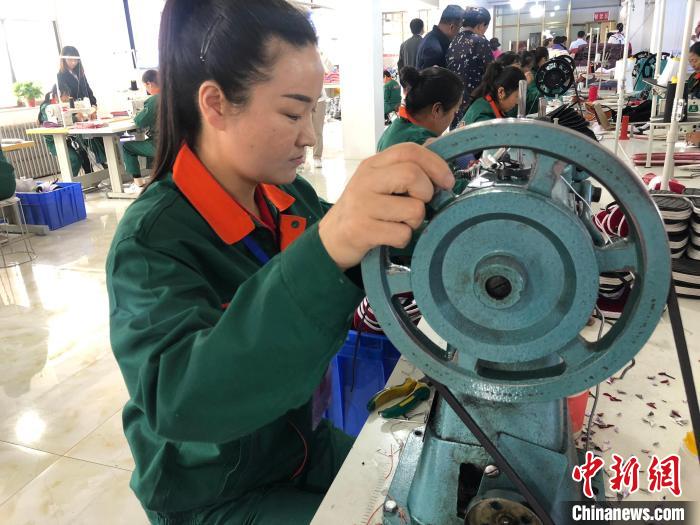 加快甘肃现代农村产业发展格局“一县一业”