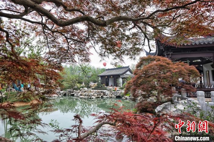 建筑行业专家齐聚江苏园博园畅谈“城市双修