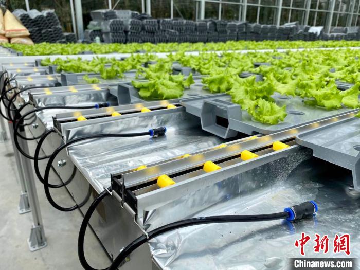 作物生长条件自动匹配浙江宁波智能技术加现