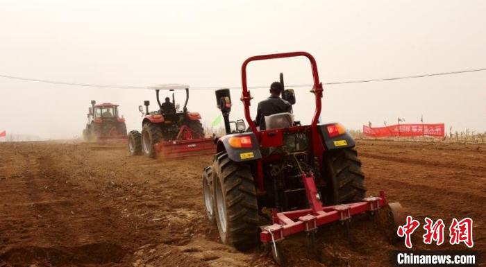 山区县发展农业的探索:退耕还林增收