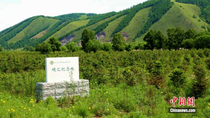 内蒙古大兴安岭“空气可以卖钱”:从痴人说