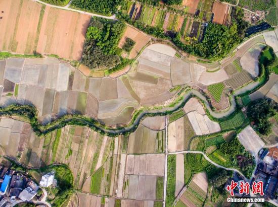 农业农村部:要像大熊猫一样保护耕地 保持